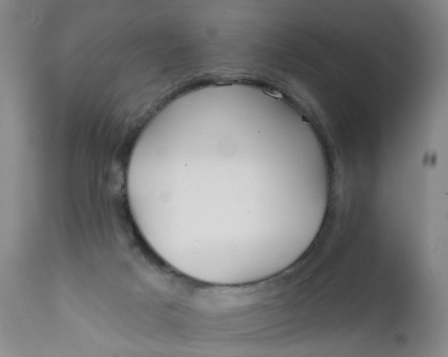 X0000112430025200909041447