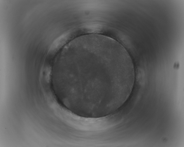X0000112430026200909041447