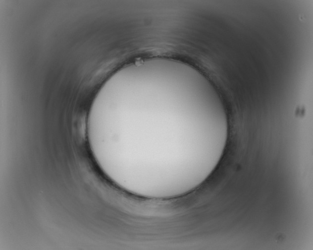 X0000112430028200909041447