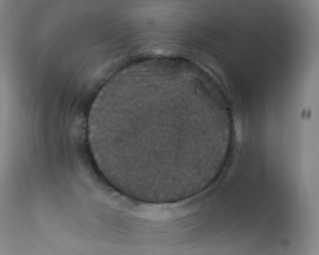 X0000112430029200909041447