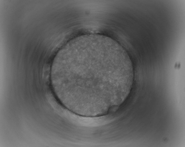 X0000112430030200909041447