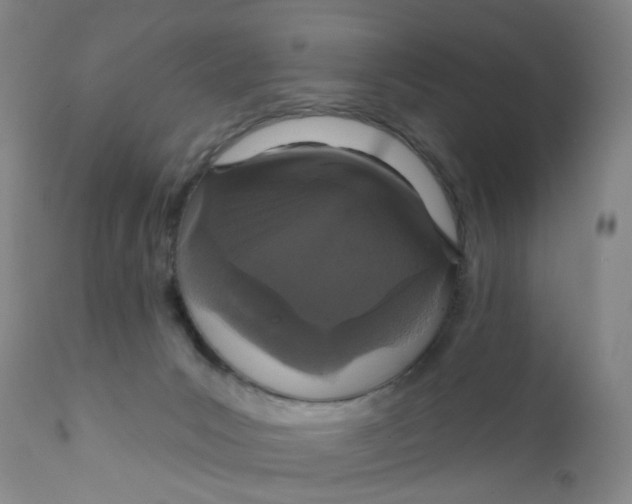 X0000112430031200909041447