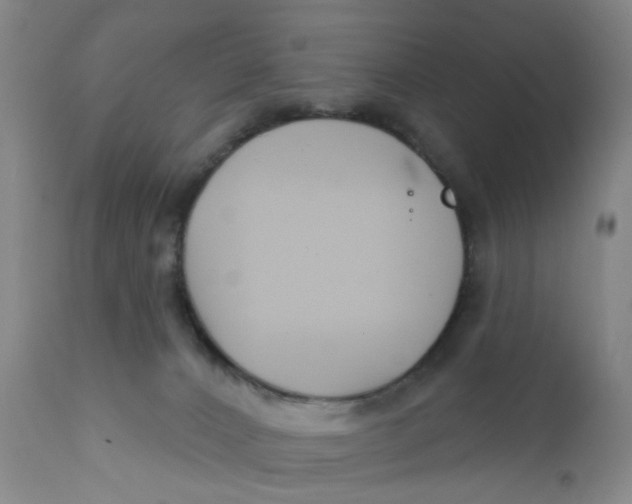 X0000112430032200909041447