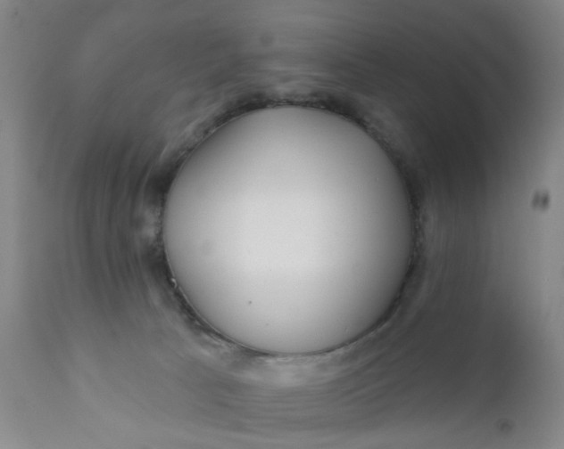 X0000112430033200909041447