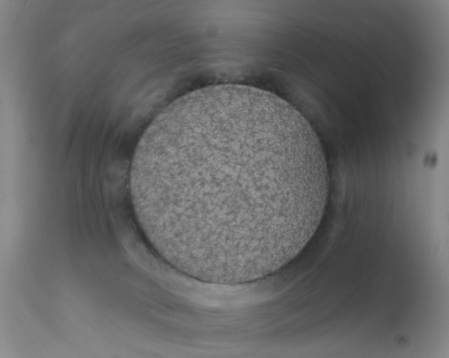 X0000112430034200909041447