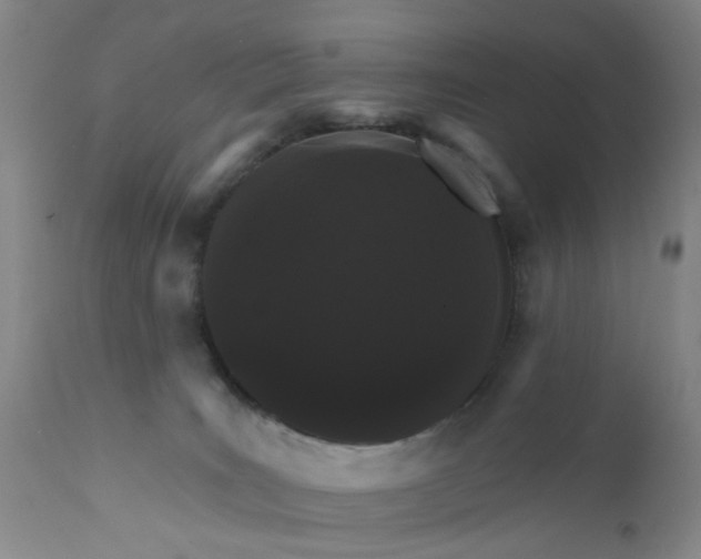 X0000112430035200909041447