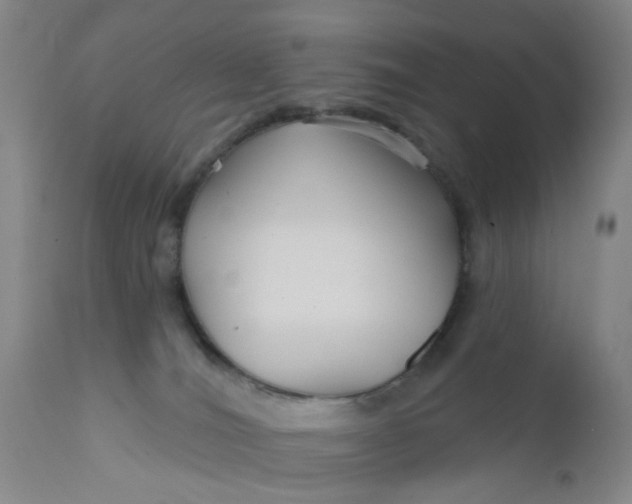 X0000112430036200909041447