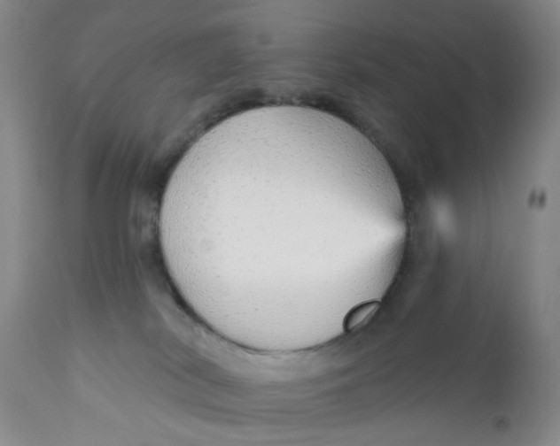 X0000112430038200909041447