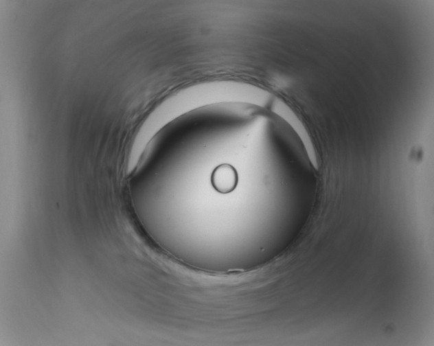 X0000112430039200909041447