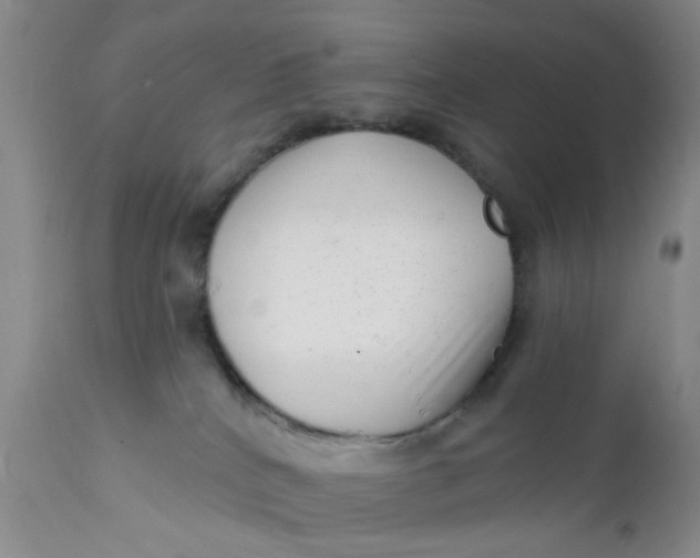 X0000112430040200909041447