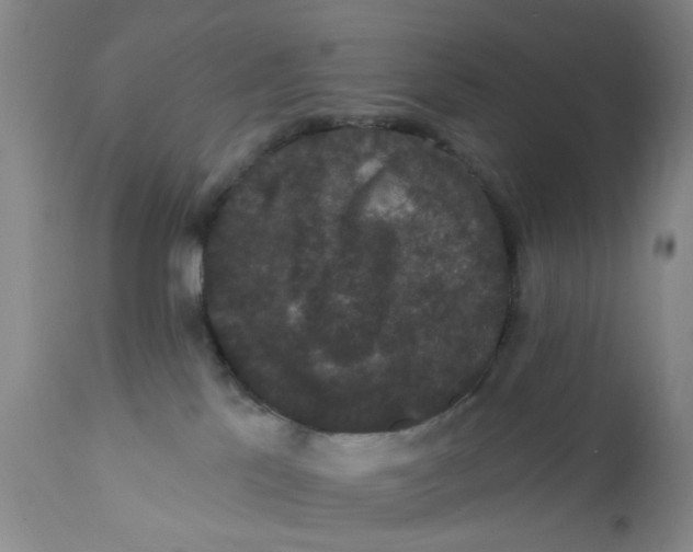 X0000112430041200909041447