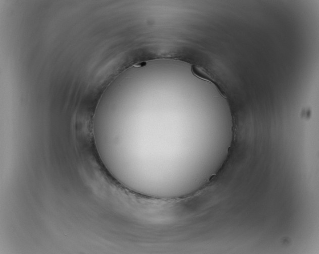 X0000112430044200909041447