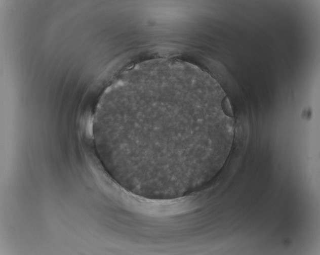 X0000112430046200909041447