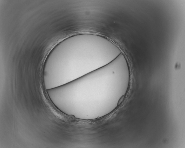 X0000112430049200909041446
