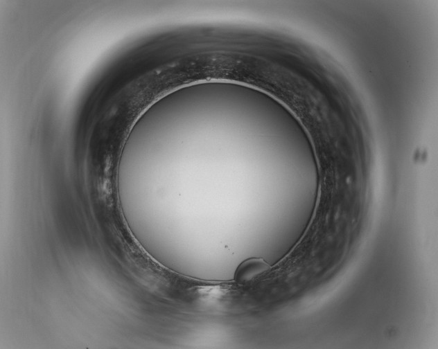X0000112430050200909041446