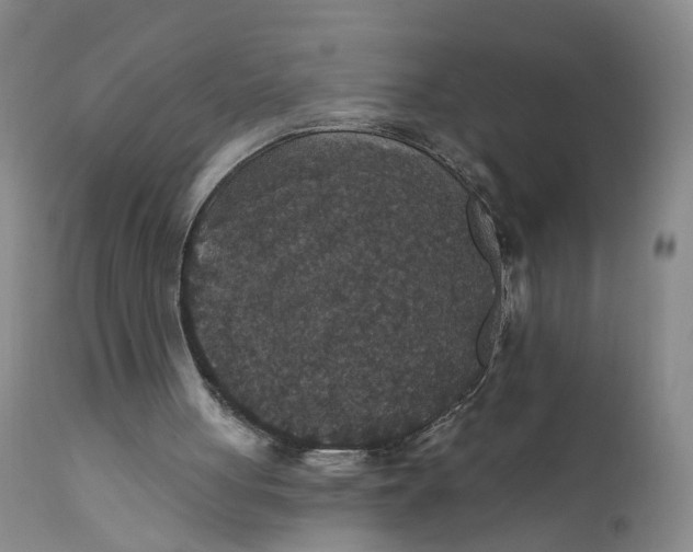 X0000112430051200909041446