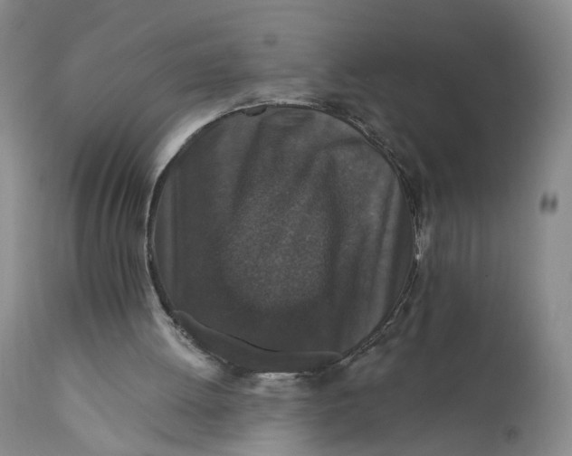 X0000112430052200909041446
