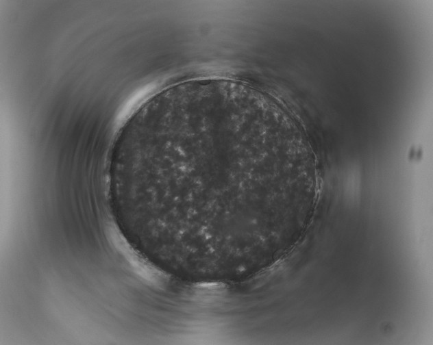X0000112430053200909041446