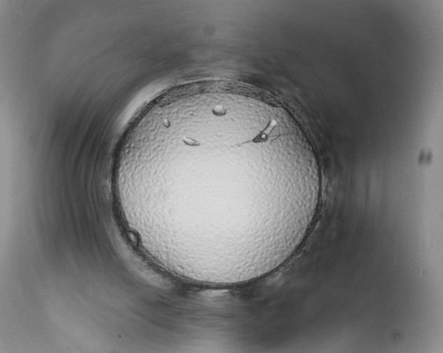 X0000112430054200909041446