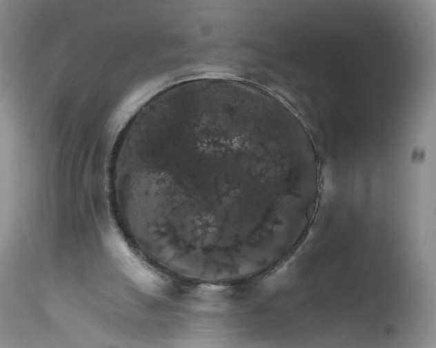 X0000112430055200909041446