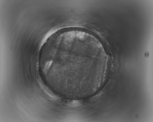X0000112430056200909041446
