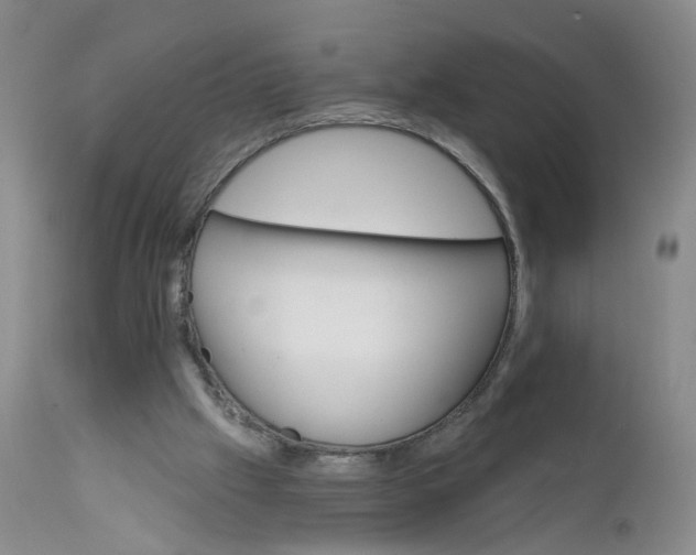 X0000112430057200909041446