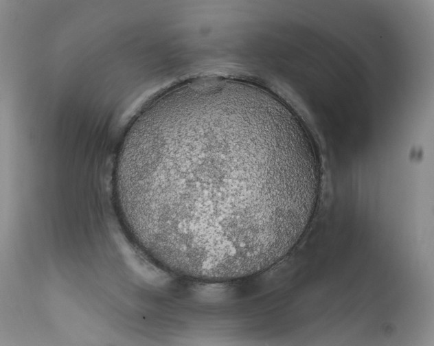 X0000112430058200909041446