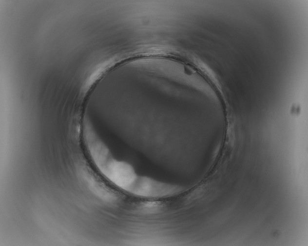 X0000112430059200909041446