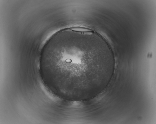 X0000112430060200909041446