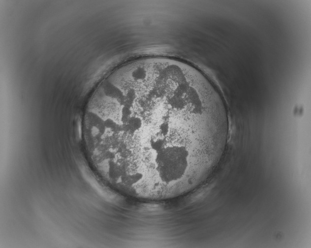 X0000112430061200909041446