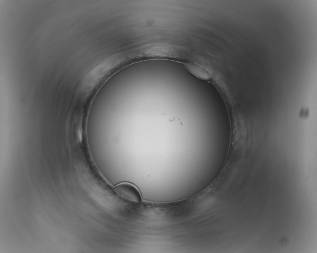 X0000112430062200909041446