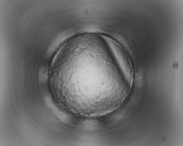 X0000112430063200909041446