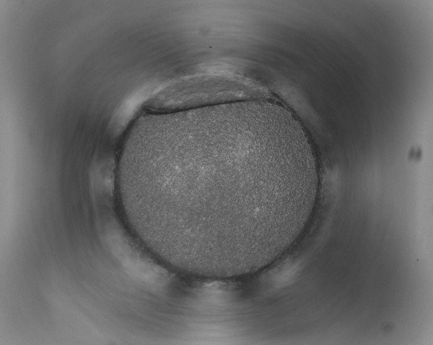 X0000112430064200909041446