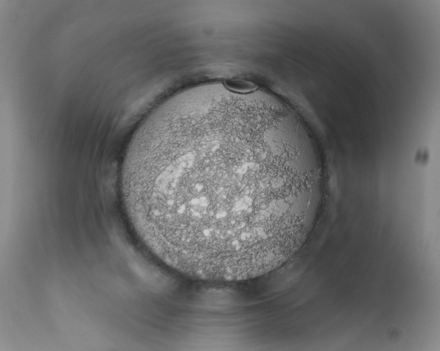 X0000112430066200909041446