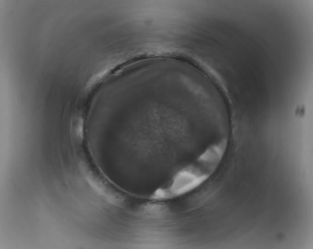 X0000112430067200909041446
