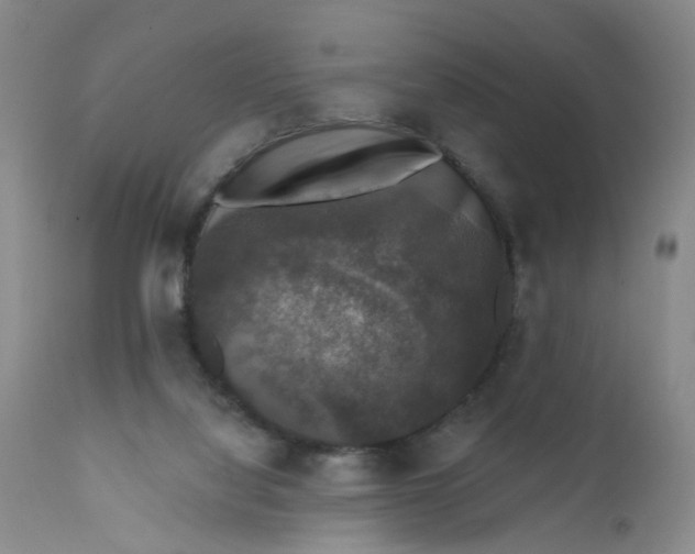 X0000112430068200909041446