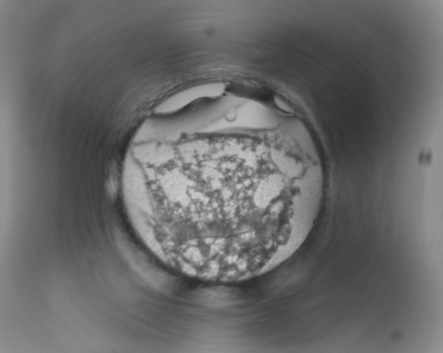 X0000112430069200909041446