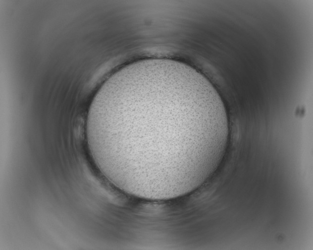 X0000112430071200909041446