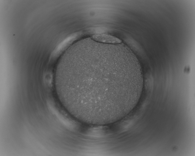 X0000112430072200909041446