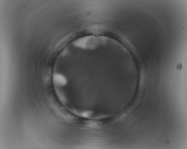 X0000112430073200909041446