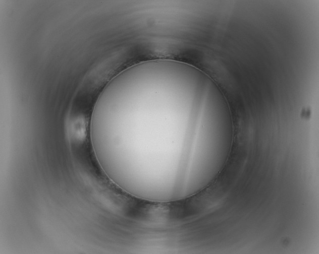X0000112430075200909041446