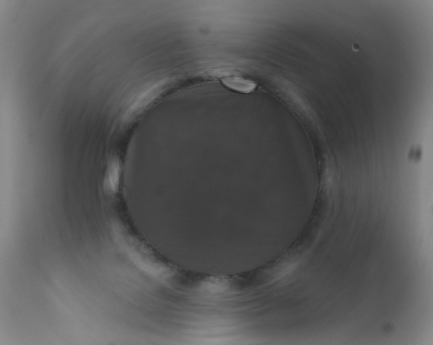 X0000112430076200909041446