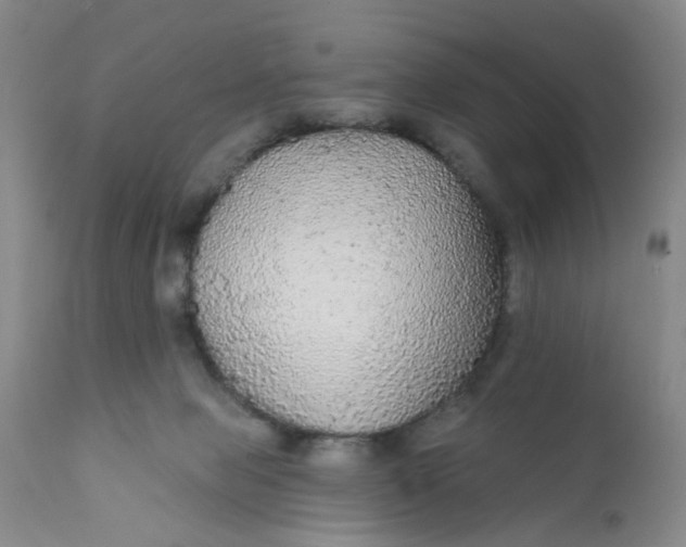 X0000112430077200909041446