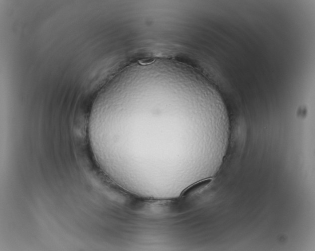 X0000112430078200909041446