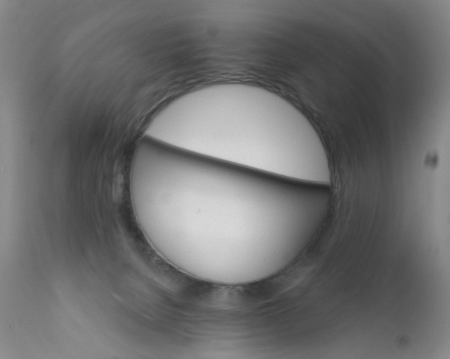 X0000112430080200909041446