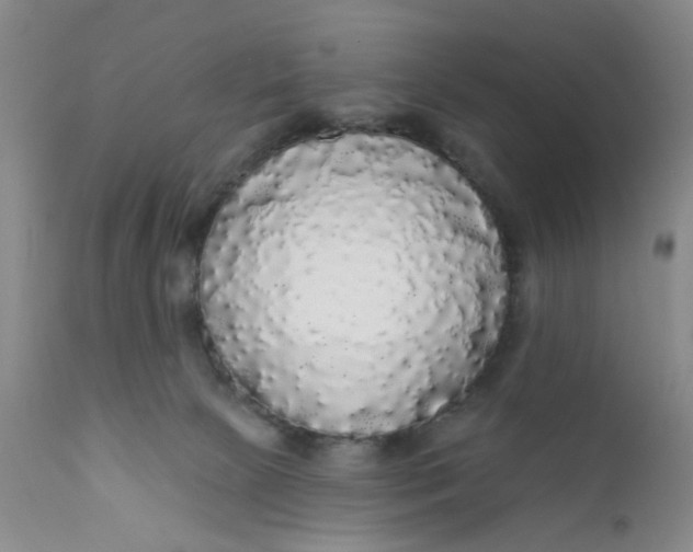 X0000112430081200909041446