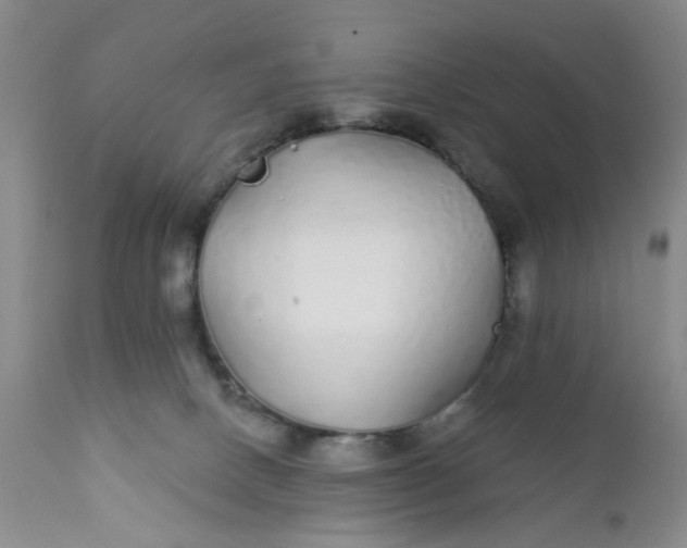 X0000112430082200909041446