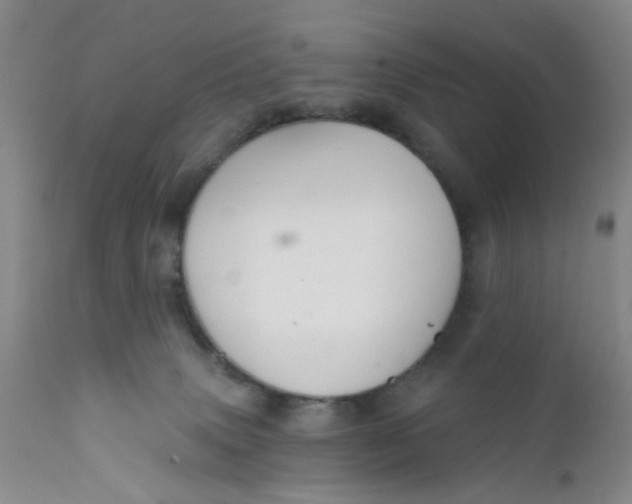 X0000112430083200909041446