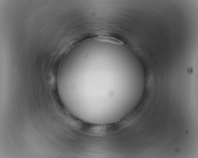 X0000112430084200909041446
