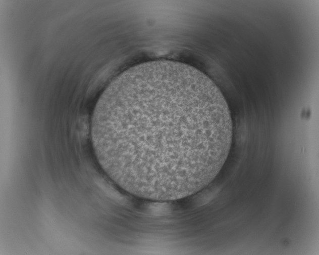 X0000112430085200909041446